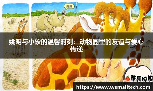 南宫体育